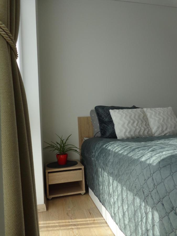 Elzbietos Centro Apartamentai VNO Exteriör bild