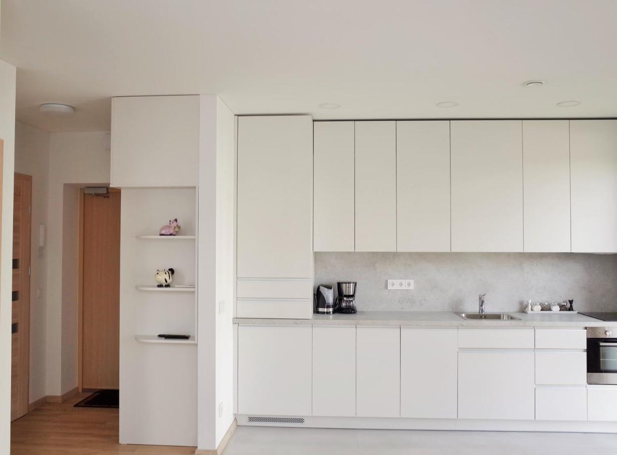 Elzbietos Centro Apartamentai VNO Exteriör bild