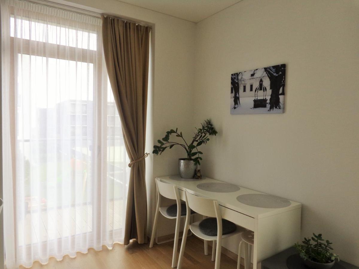 Elzbietos Centro Apartamentai VNO Exteriör bild