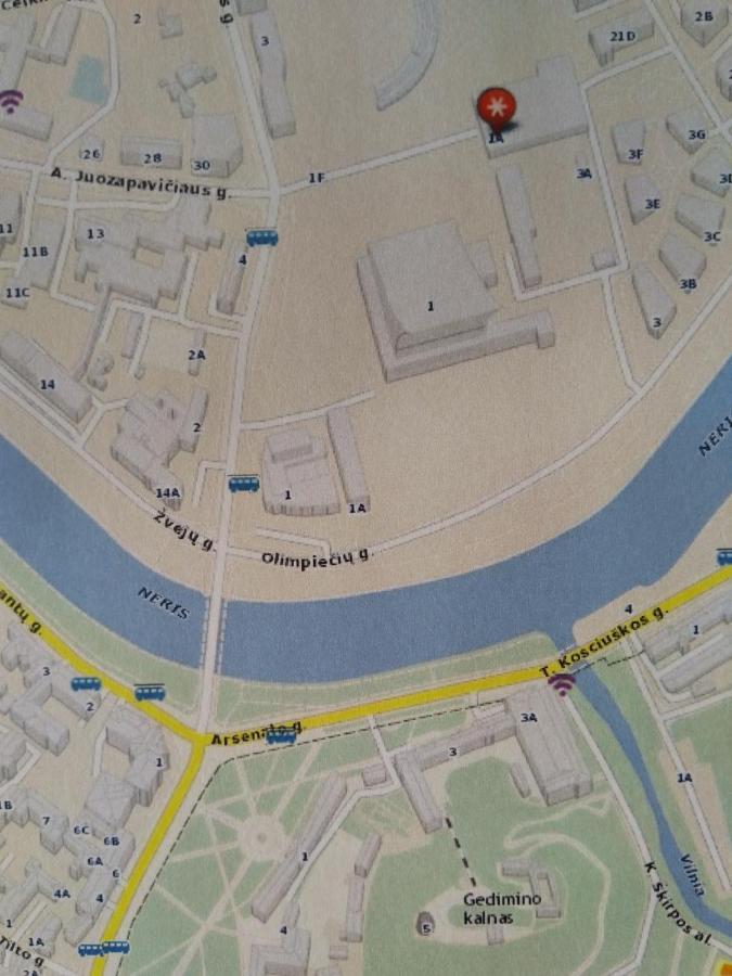 Elzbietos Centro Apartamentai VNO Exteriör bild
